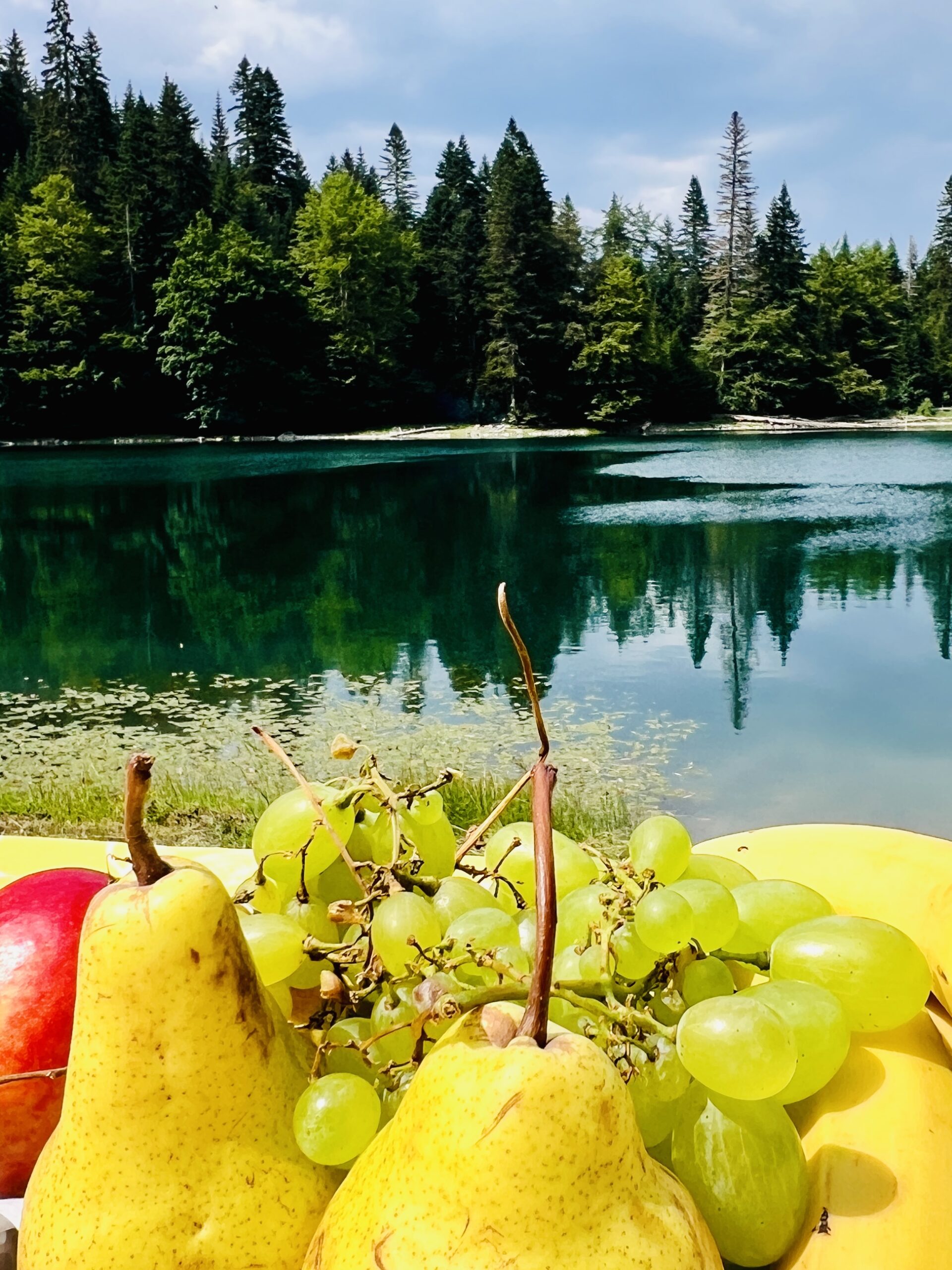 Durmitor jeep tours